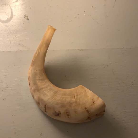 Ram horn - Picture 2 of 9